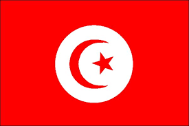 Devenir promoteur immobilier Tunisie