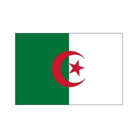 Devenir promoteur immobilier Algérie